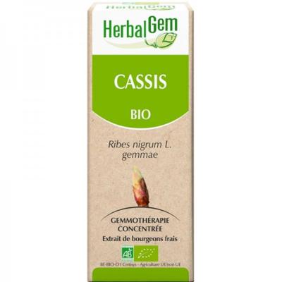 Cassis bio gemmothérapie bourgeon 30 ml - Herbalgem