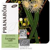 Eucalyptus radi radiata bio huile essentielle, 30 ml