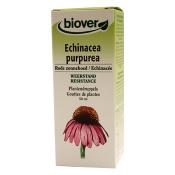 Echinacea purpurea teinture mre  bio - 50 ml - Biover