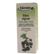 Teinture mre cassis bio Ribes nigrum - 50 ml - Biover