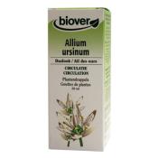 Teinture mre ail des ours Allium ursinum bio - 50 ml - Biover