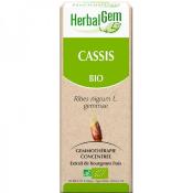 Cassis bio gemmothérapie bourgeon 50 ml - Herbalgem