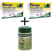 Ferzym 10.9 et 1 chlorophylle en gélules