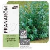 Eucalyptus globuleux bio, 10 ml
