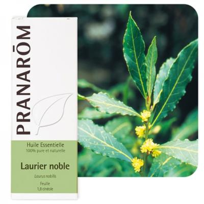 Laurier noble huile essentielle, 5 ml