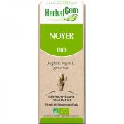 Noyer bio extrait de bourgeons frais - 50 ml- Herbalgem