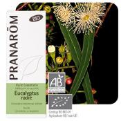 Eucalyptus radi bio huile essentielle, 10 ml