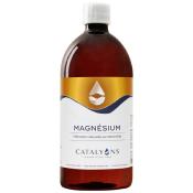 Magnésium par életrolyse, 1 litre