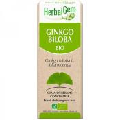 Ginkgo biloba bio macérat bourgeons frais - 50 ml- Herbalgem