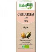 Celluligem bio macrat de bourgeons frais- Herbalgem