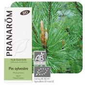 Huile essentielle de pin sylvestre bio, 10 ml
