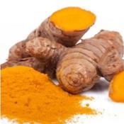 Curcuma