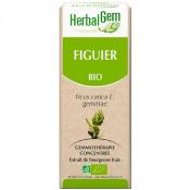 Figuier bio macrat de bourgeons frais - 30 ml- Herbalgem