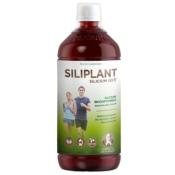 Silicium organique G5 Siliplant - 1 litre - Loïc Le Ribault Espagne