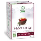 Th Hao Ling bio - 90 infusettes - Ths de la pagode