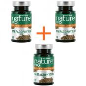 Harpagophytum bio - 3 bote de 60 glules - Boutique Nature