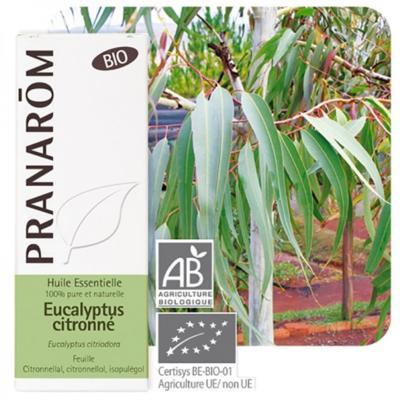 Eucalyptus citronné bio huile essentielle, 10 ml